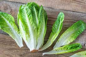 Where Can I Buy Fresh Lechuga Romana?