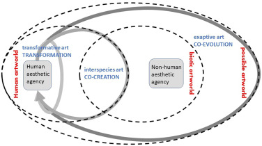 Practical Applications Of Divijos Creative Potential From Nature