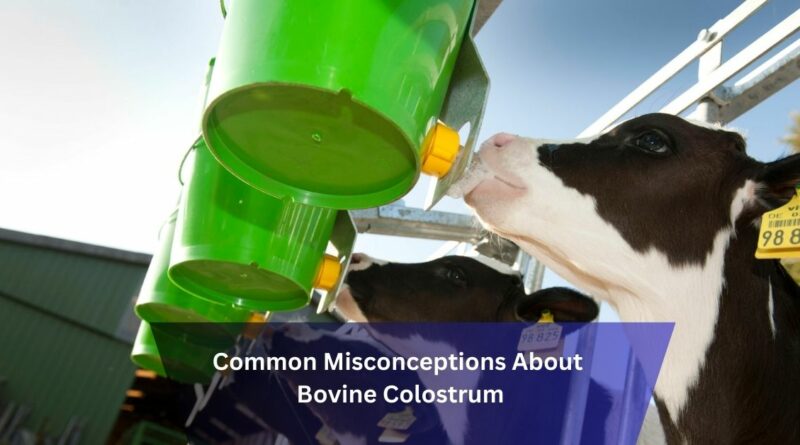 Common Misconceptions About Bovine Colostrum